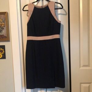 J Crew Navy Dress